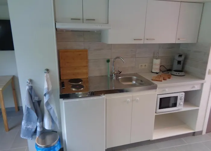 Au Pied De L'abbaye De Leffe Dinant